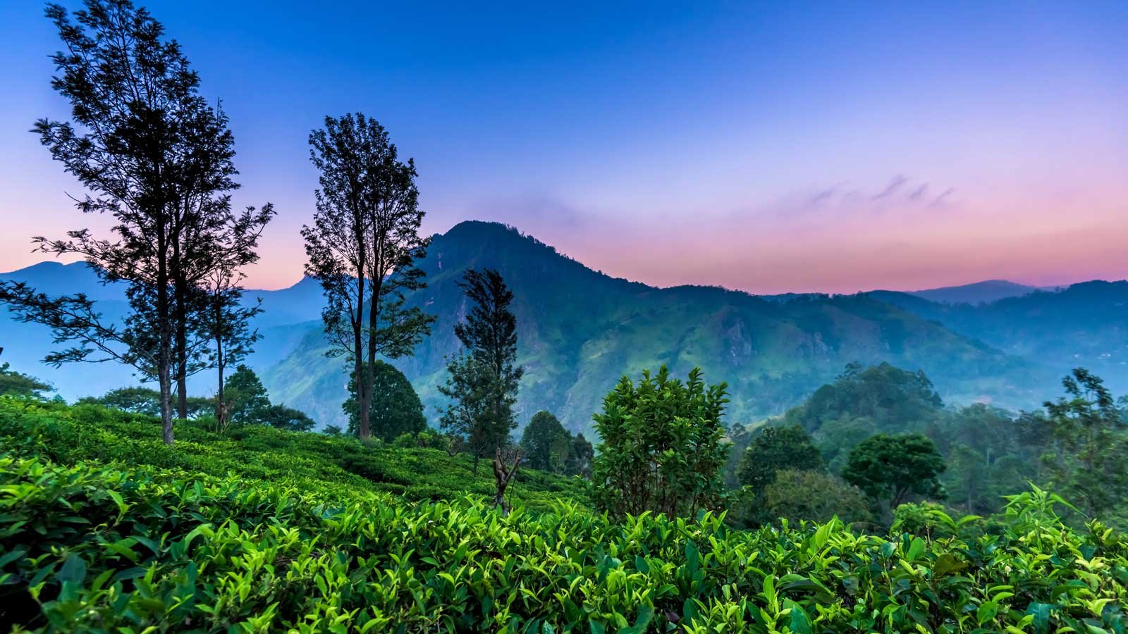 Nuwara Eliya: The Little England of Sri Lanka